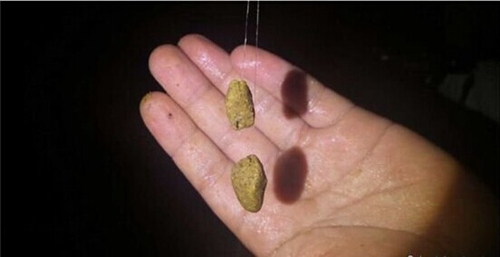 搓饵和拉饵的优劣对比_WWW.YUJUCEPING.COM