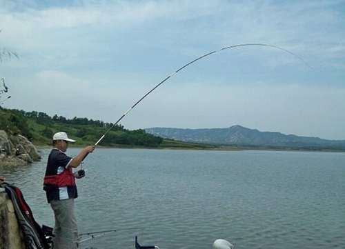水库海竿钓鲤鱼技巧_WWW.YUJUCEPING.COM