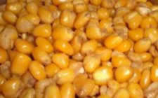 钓友分享自制饵料的秘方