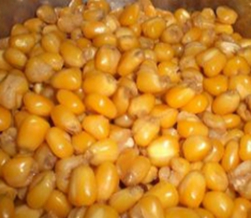 钓友分享自制饵料的秘方_WWW.YUJUCEPING.COM