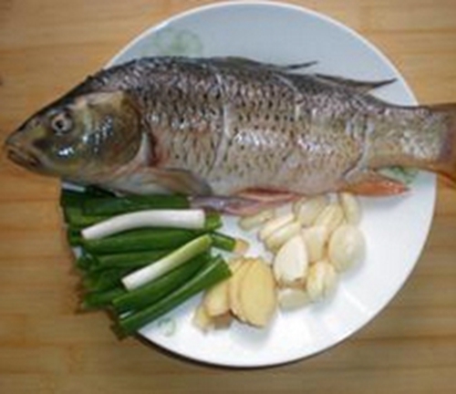 钓友分享自制饵料的秘方_WWW.YUJUCEPING.COM
