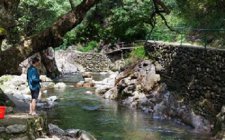 北方地区溪流钓中的跑漂钓法