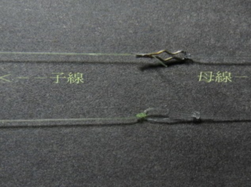 北方地区溪流钓中的跑漂钓法_WWW.YUJUCEPING.COM