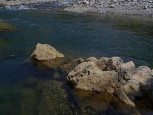 北方地区溪流钓中的跑漂钓法_WWW.YUJUCEPING.COM
