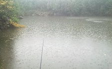 下雨天无漂钓鱼技巧