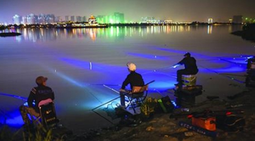 深秋夜钓鲤鱼的方法_WWW.YUJUCEPING.COM