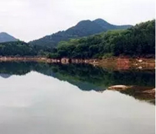 水库钓鲤鱼怎么选择最佳钓点_WWW.YUJUCEPING.COM