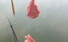 钓鱼常见的辅助类鱼饵