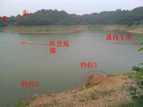 夏天雨后钓鱼怎么钓不到_WWW.YUJUCEPING.COM