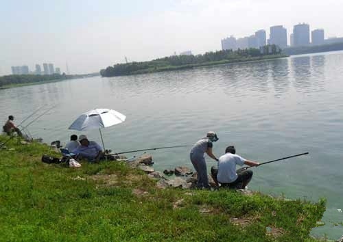 夏天雨后钓鱼怎么钓不到_WWW.YUJUCEPING.COM