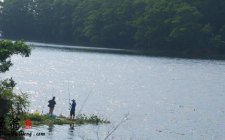 夏天水库钓鱼钓多深有大鱼