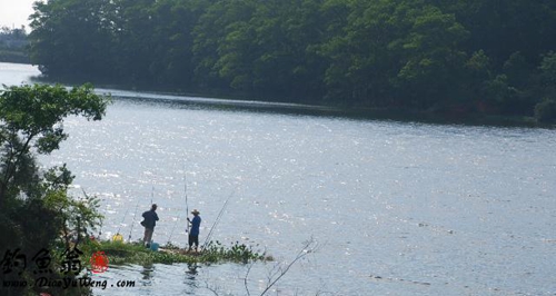 夏天水库钓鱼钓多深有大鱼_WWW.YUJUCEPING.COM