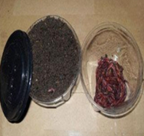 几种提升蚯蚓饵料作用的技巧_WWW.YUJUCEPING.COM