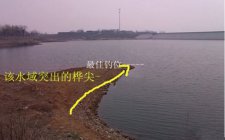 夏天钓鱼天气热怎么用饵料