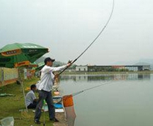 新手钓草鱼注意事项_WWW.YUJUCEPING.COM
