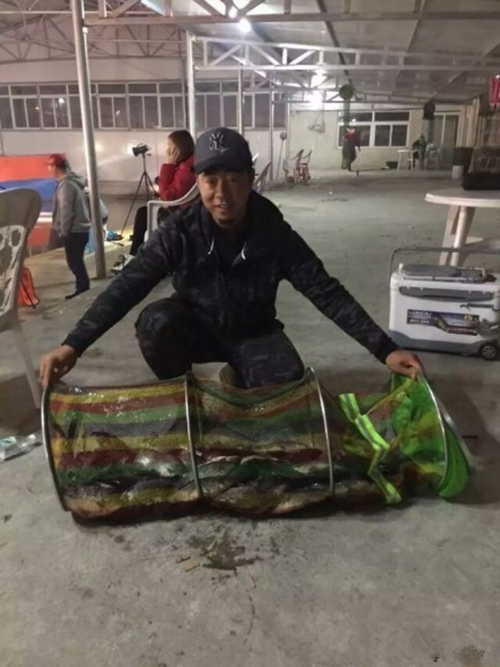 冬天黑坑拉拉糊钓鲫鱼的方法_WWW.YUJUCEPING.COM