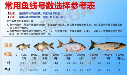 常用鱼线线号 直径 拉力对照表_WWW.YUJUCEPING.COM