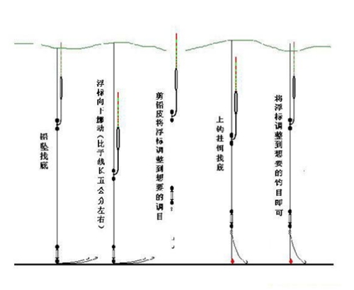 钓鲤鱼怎么调漂_WWW.YUJUCEPING.COM