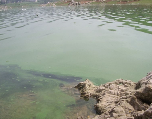 浅水钓鱼撒饵及钓点选择_WWW.YUJUCEPING.COM