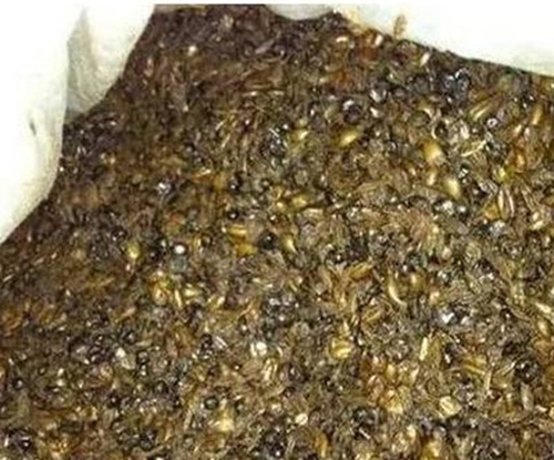 分享一款神奇酒糟窝料配方_WWW.YUJUCEPING.COM