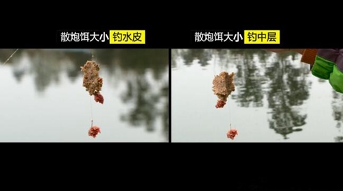 散炮饵钓鱼用法教程_WWW.YUJUCEPING.COM
