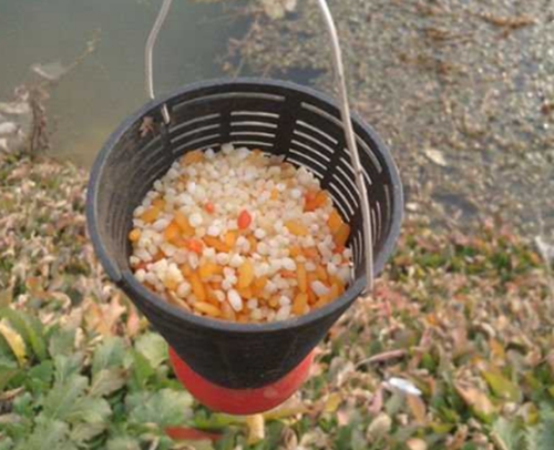 冬天钓鱼的打窝方法_WWW.YUJUCEPING.COM
