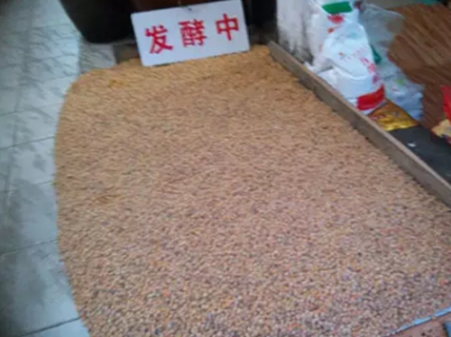 酒糟玉米钓鱼秘方_WWW.YUJUCEPING.COM