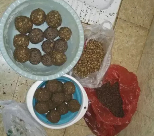 酒糟玉米钓鱼秘方_WWW.YUJUCEPING.COM