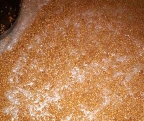 深秋钓鱼的自制小麦饵料配方_WWW.YUJUCEPING.COM