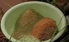 夏天钓鱼用什么饵料