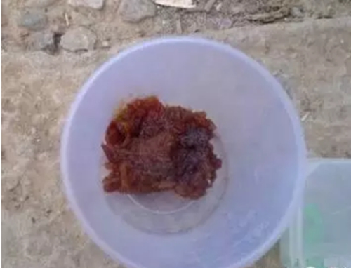 自制大枣香精赛过钓鱼小药_WWW.YUJUCEPING.COM