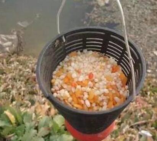 钓青鱼的饵料打窝技巧_WWW.YUJUCEPING.COM