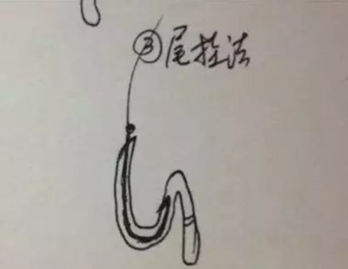 蚯蚓挂钩钓法图解_WWW.YUJUCEPING.COM
