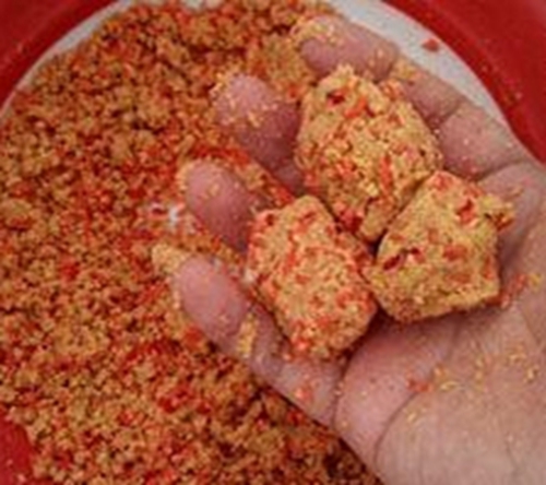 冬天钓鱼开饵拉饵注意事项_WWW.YUJUCEPING.COM