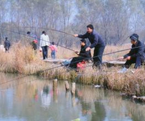 冬天钓鱼选钓点诀窍_WWW.YUJUCEPING.COM