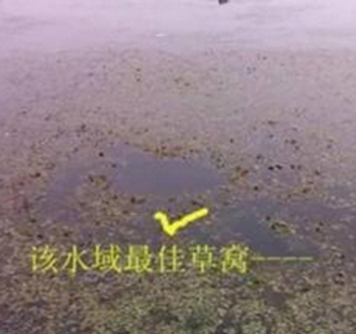 溜边钓法中钓点与钓饵的选择_WWW.YUJUCEPING.COM