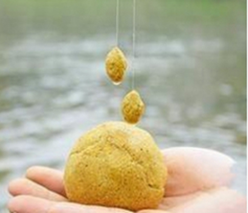溜边钓法中钓点与钓饵的选择_WWW.YUJUCEPING.COM