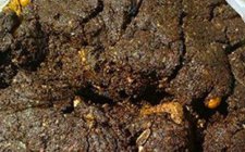 民间钓鲢鳙饵料配方