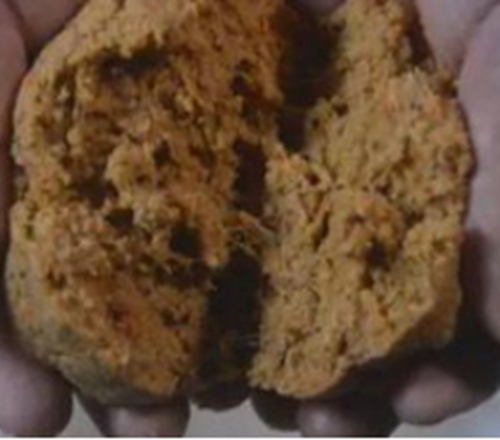 钓鲫鱼中饵料状态的变化_WWW.YUJUCEPING.COM