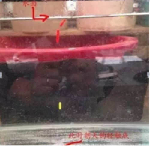 朝天钩的绑法与使用细节图解_WWW.YUJUCEPING.COM