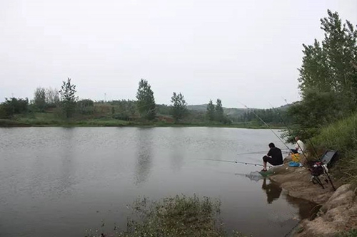 浅谈走钓鲫鱼的经验及钓具搭配技巧_WWW.YUJUCEPING.COM