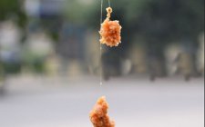 野钓鲫鱼的拉饵开制要点