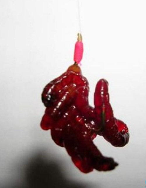 用红虫钓鱼的方法_WWW.YUJUCEPING.COM