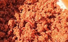 冬天钓鱼选用适口的饵料