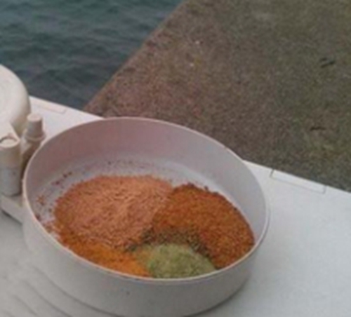 常见饵料最佳对象鱼解读_WWW.YUJUCEPING.COM